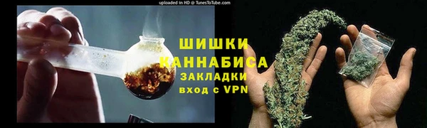 шишки Переславль-Залесский
