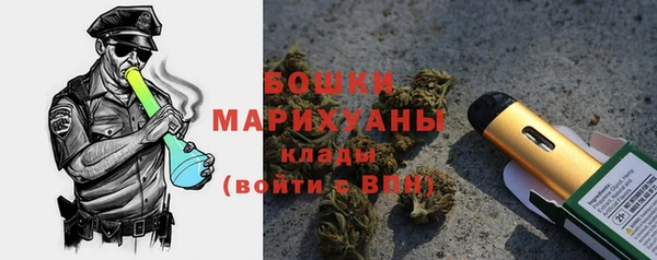 шишки Переславль-Залесский