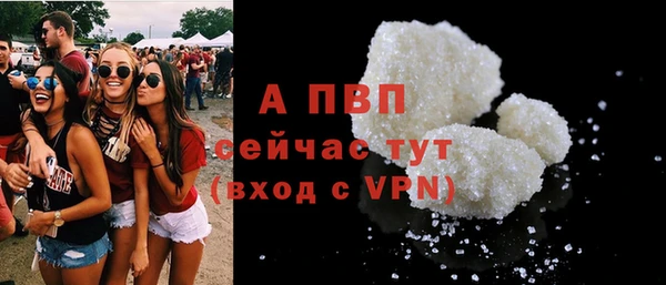 дживик Абаза
