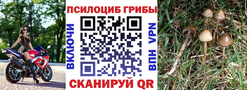 Псилоцибиновые грибы мухоморы  Котельнич 