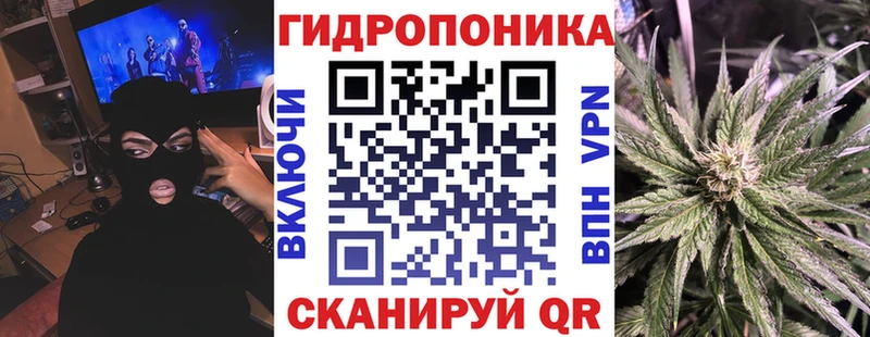 Каннабис сатива  Котельнич 